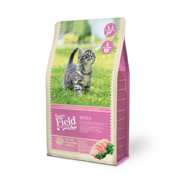 Sam's Field Kitten
