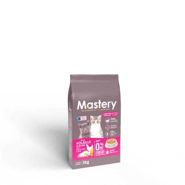 Mastery Chaton