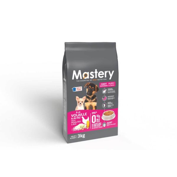 Mastery Chiots