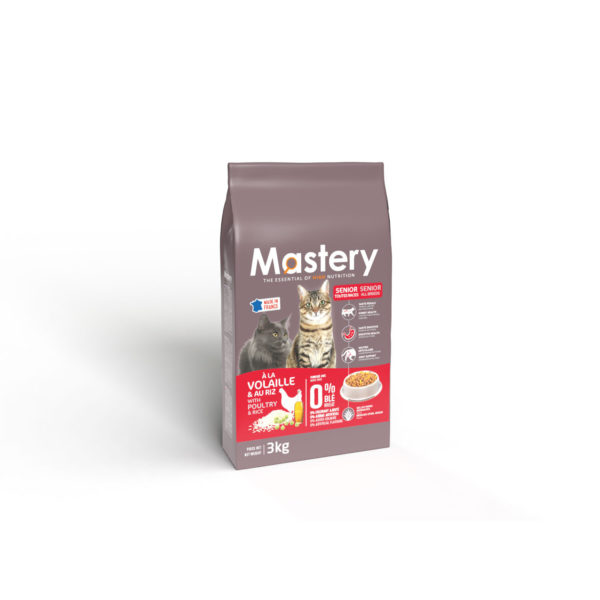 Mastery Senior