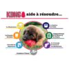 Kong Extrême – Image 2