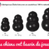 Kong Extrême – Image 3