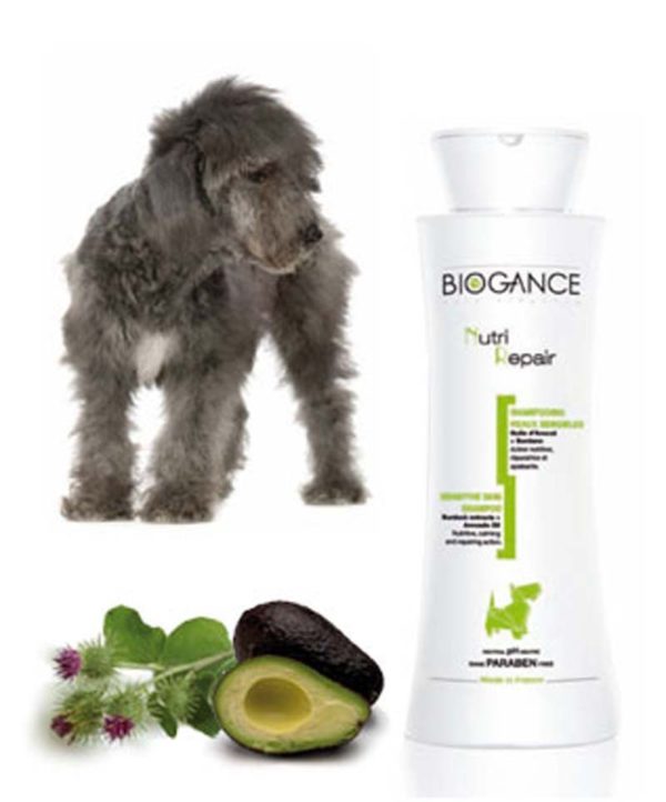 Biogance Shampoing Nutri Repair