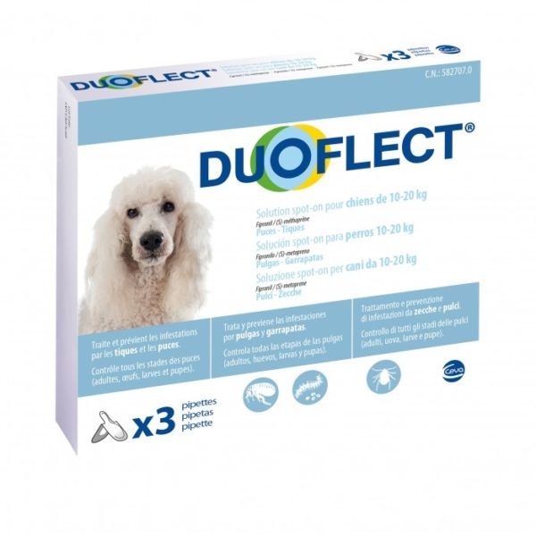 Duoflect Chiens 10-20 kg